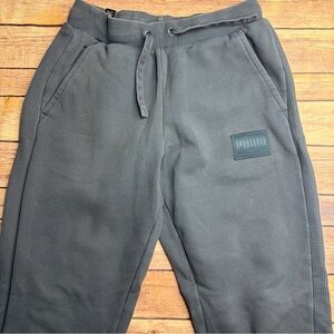 Puma Men's Dark Gray Fleece Joggers with Side Rib Panels